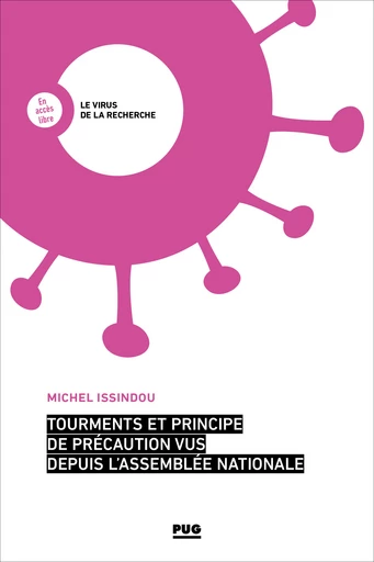 Tourments et principe de précaution vus depuis l'Assemblée nationale - Michel Issindou - PUG