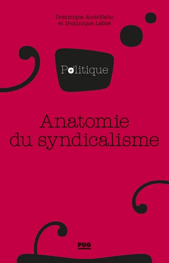 Anatomie du syndicalisme - Dominique Andolfatto, Dominique Labbé - PUG